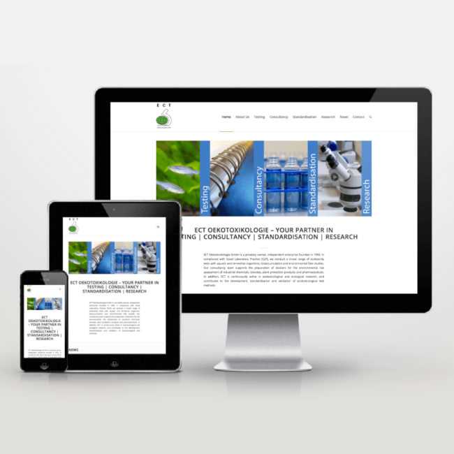 Website Neugestaltung ECT