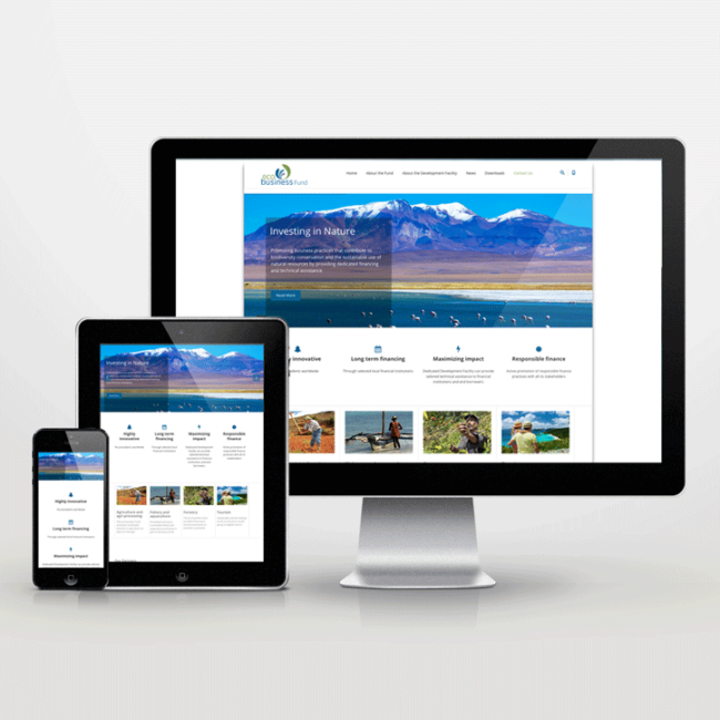 Website Neugestaltung für den ‚ecobusiness Fund‘