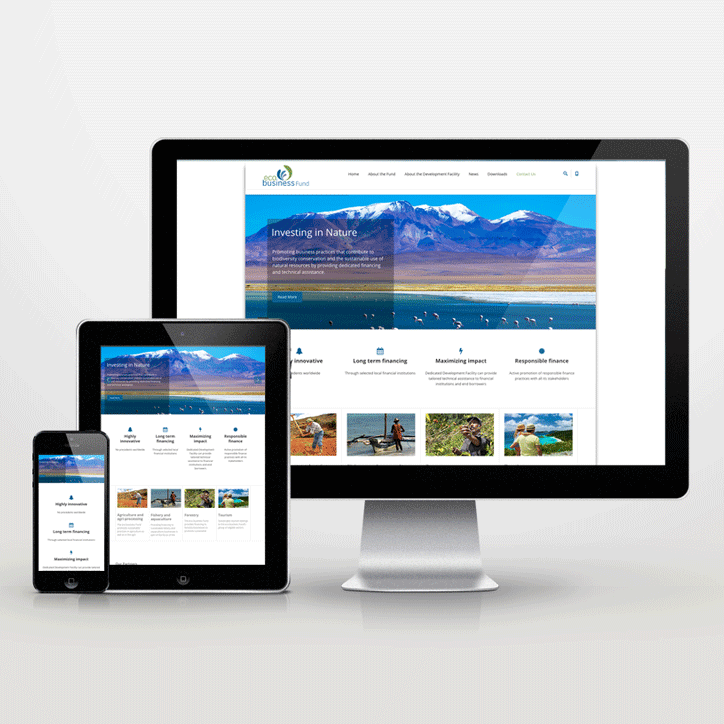 Website Neugestaltung für den ‚ecobusiness Fund‘